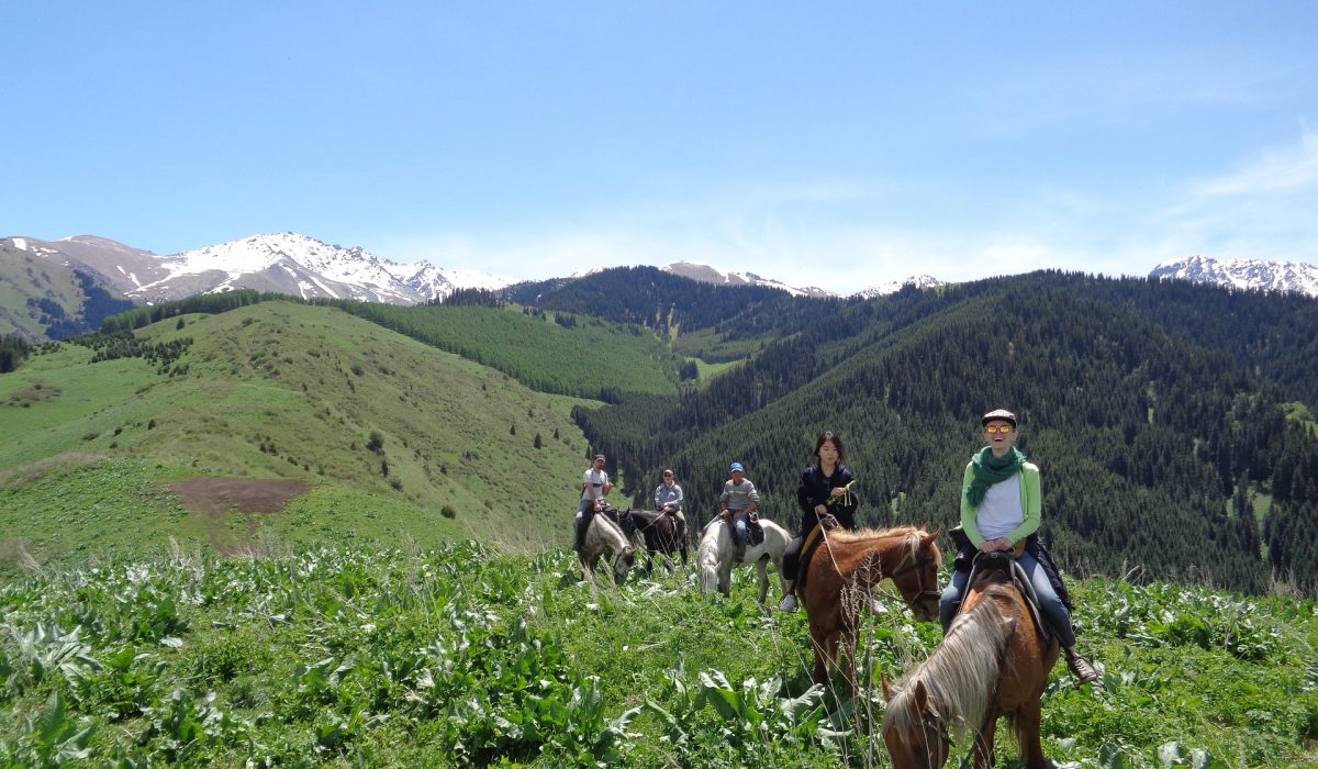 horse-riding-tour-2489482_1920.jpg